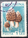 Errors Romania 1958 Mi 1727 Mushrooms Printed With Watermark  Horizontal Line  Used - Varietà & Curiosità