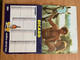 Delcampe - VP234 - Calendrier Ricard 1984 - Grand Format : 1981-90