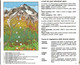 # Guida Kompass - Fiori Alpini - La Natura In Tasca 70 Foto A Colori - Toerisme, Reizen