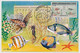 MONACO - 6 Cartes Maximum - Série Musée Océanographique - 1/6/1960 - Maximum Cards