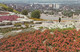 HAMILTON (Canada, Ontario) - Beautiful View Of The City, Fotokarte Gel. 1970, 4 Fach Frankierung - Hamilton