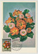 MONACO - 2 Cartes Maximum -  Concours International De Bouquets 1973 - Monaco-A - 13/11/1972 - Cartas Máxima