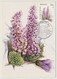 MONACO - 6 Cartes Maximum -  Parc National Du Mercantour (Fleurs) - Monaco-A - 23/5/1985 - Maximumkarten (MC)