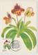 MONACO - 5 Cartes Maximum - Flore - Fleurs - Monaco-A - 15/3/1990 - Cartas Máxima