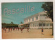 85 VENDEE - CP ANIMEE SAINT HILAIRE DE RIEZ - CENTRE DE VACANCES DE LA VILLE D'ARGENTEUIL - ARTAUD N° 3979 - 1980 - Saint Hilaire De Riez