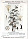 Plantes Médicinales 5 Planches Bryone Cassier Digitale Douce Amère Fougère Publicité Exibard 1920 TB état - Plantes Médicinales