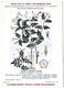 Plantes Médicinales 5 Planches Jasmin Lierre Marronnier Matricaire Menthe Publicité Exibard 1920 TB état - Plantes Médicinales