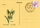 B01-396 6 Briefkaarten Met Stempel ESPERANTO - Pro Thema DE TASSIS - Jubeltentoonstelling 7-4-1978 2200 Borgerhout - Aerograms