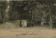 Bruxelles - Schaerbeek // Parc Josaphat - Entree Parc (animee) 1908 Fold - Vouw - Schaarbeek - Schaerbeek