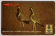 Sri Lanka 21SRLF Rs.200 Red Wattled Lapwing - Sri Lanka (Ceylon)