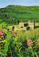 TINTERN ABBEY, MONMOUTHSHIRE, WALES. UNUSED POSTCARD Kg2 - Monmouthshire