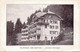 SELTENE  ALTE  AK   LEYSIN - FEYDEY / K. Waadt / Schweiz  - Clinique Les Sapins - Ca. 1920 Gedruckt - Fey