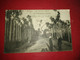 CARTE POSTALE VIETNAM COCHINCHINE SAÏGON N°50 UNE PLANTATION D'AREQUIERS 1906 Voyagé Sans Timbre - Vietnam