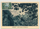 MONACO => Carte Maximum - 0,05 - Palais Princier Et Frondaisons - Monaco A - 1/6/1960 - Cartoline Maximum