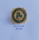 Irish Amateur Swimming Association Ireland PIN A7/7 - Zwemmen