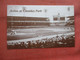 Baseball  Stadium.  Action At Comiskey Park Chicago.  White Sox    Ref 5629 - Baseball
