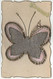 CPA Sainte Catherine - Carte Avec Ajoutis Papillon En Tissus Et Paillettes Argentées - Saint-Catherine's Day