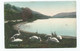 Cornwall Postcard Falmouth Swan Pool Nice Cancel 1905 Frith's - Falmouth