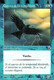 Delcampe - T V 6//01/03)    4 Cartes "MAGIC" > The Gathering  > Deckmaster - Autres & Non Classés