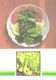 Russian Recipes:Mixed Salad, 1990 - Recettes (cuisine)