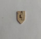 CCCR  Russia Fencing PIN A7/8 - Fencing