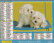 Calendrier De La Poste, Almanach Du Facteur: NORD, 2002: Chiots: Golden Retrievers, Puppies, Ed. Oberthur - Grand Format : 2001-...