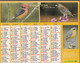 Calendrier De La Poste, Almanach Facteur: VENDEE, 2004: Mésangeai, Rouge-Gorge, Guêpier, Moucherolle, Verdier, Cossyphe - Grand Format : 2001-...