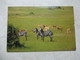 Cpa Rwanda 1975 Parc De L' Akagera Animaux De La Savane - Rwanda