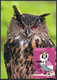 ANDORRA (2022) FAUNA Gran Duc, Bubo Bubo, Buho Real, Hibou Grand-duc, Eurasian Eagle Owl, Uhu Oehoe - Carte Maximum Card - Andere & Zonder Classificatie