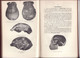 A SHORT COURSE On PHYSICAL ANTHROPOLOGY By M. R. DRENNAN 1937 - Antropologie