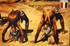 Delcampe - 4 Photos Couleurs > Repro. > Afrique > Côte D'Ivoire - TBE - Afrika