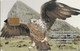 Gibraltar - GIB-C-12, Bonelli's Eagle, 2001, 5000ex, VF Used` - Gibraltar