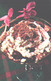 Estonian Kitchen Recipes:Whipped Cream With Grated Bread, 1973 - Recipes (cooking)