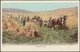 Harvest Time, C.1905-10 - Postcard - Attelages