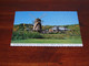 46627-               CANADA, ALBERTA, THE WINDMILL, FORT EDMONTON - Edmonton