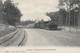 Bouwel : Steenweg Naar Grobbendonck  Met Stoomtram --- 1910 - Grobbendonk