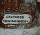 BOUTEILLE ANCIENNE CALVADOS MONTGOMMERY EN CERAMIQUE TBE - Carafes