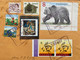 CANADA 1999, HIGH VALUE 8$ BEAR ANIMAL, HARE, RABBIT, ART, TREE, PAINTING, QUEEN, FRUIT, MOTHER & CHILD, 8 STAMP, COVER - Lettres & Documents