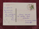 Poland 1997 Postcard "lake Fishing Sunset" Olecko To England - Pinecones Pinus Tree - Lettres & Documents