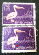 Birds Pelicans Errors Stamps Romania 1957 # Mi 1691, Birds Printed Wirh Broken Letters From PELICAN - Plaatfouten En Curiosa