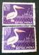 Birds Pelicans Errors Stamps Romania 1957 # Mi 1691, Birds Printed Wirh Broken Letters From PELICAN - Variedades Y Curiosidades