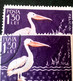 Birds Pelicans Errors Stamps Romania 1957 # Mi 1691, Birds Printed Wirh Broken Letters From PELICAN - Variétés Et Curiosités