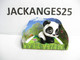 KINDER MPG FT 014 PANDA ANIMAUX NATOONS TIERE 2013 + BPZ + DECOR - Familles