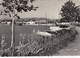 AK - Vorarlberg - Hard Am Bodensee - 1955 - Hard