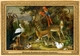 M032 Zoo - Windsor Aviaries Of Admiral Churchill, UK - Jacob Bogdany, 1708 - 1710, Deer, Gazelle, Macaw, Stork, Pheasant - Windsor