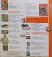 Armes Militaria Magazine N° 298 équipement US Army - Insignes Chocs - Mauser 98k - Gendarme 1914.. - French