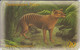 PayTel Australia  Tasmanian Tiger - Australien