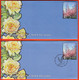 United Nations New York 2001 / Aerogramme, Air Mail / Flowers, Rose, Pidgeon, 70 C / Stationery - Poste Aérienne