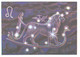 G.Glebova:Zodiac Signs, Leo, Lion, 1978 - Astronomie