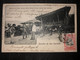 Postcard Cattle El Salvador 1906 - El Salvador